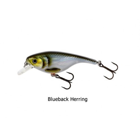 Westin - Baby Bite SR - 6,5 cm - 12 g - Floating - Blueback Herring